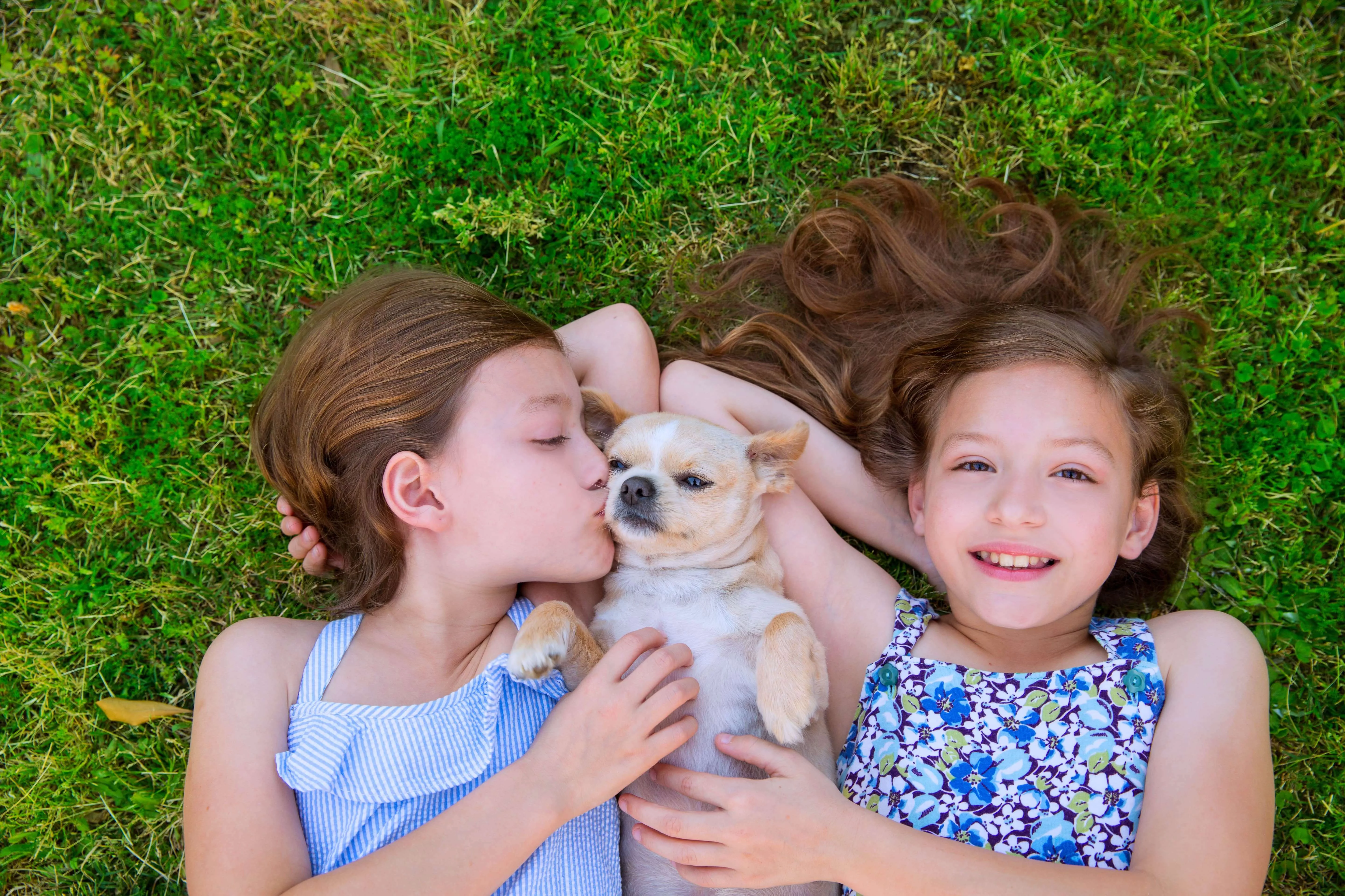 Two girls laying in the grass with their dog.