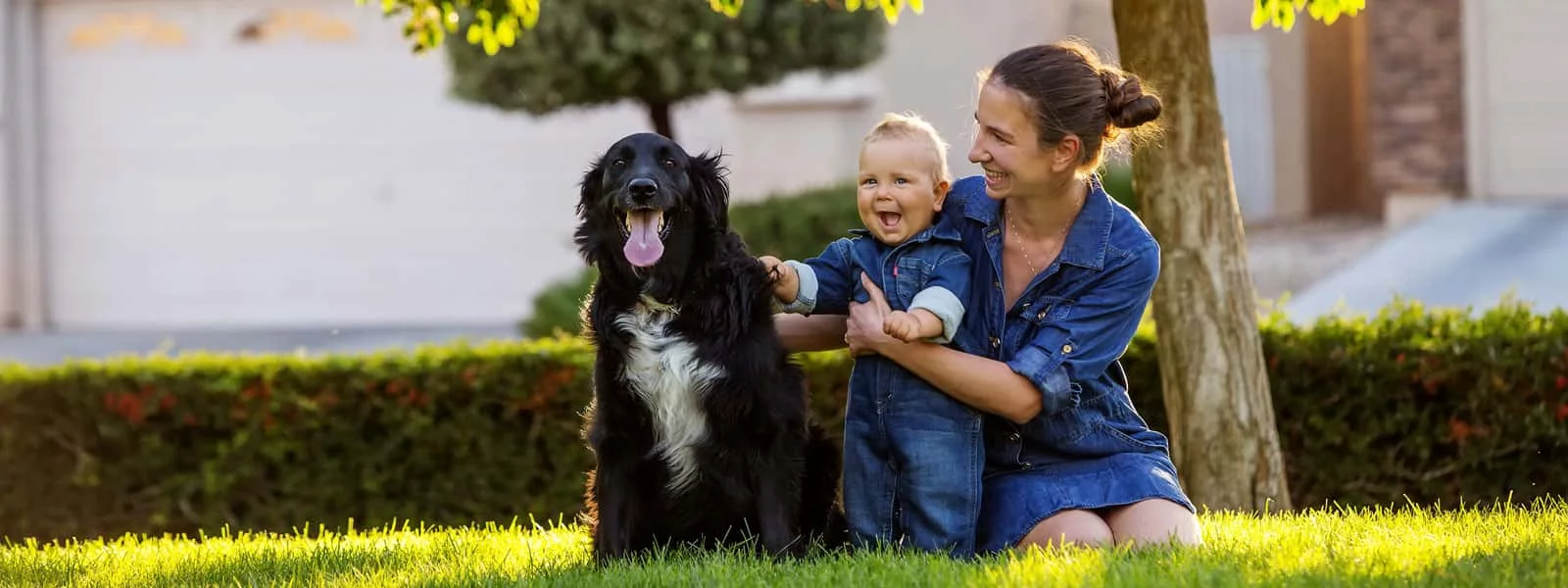 Family playing outside