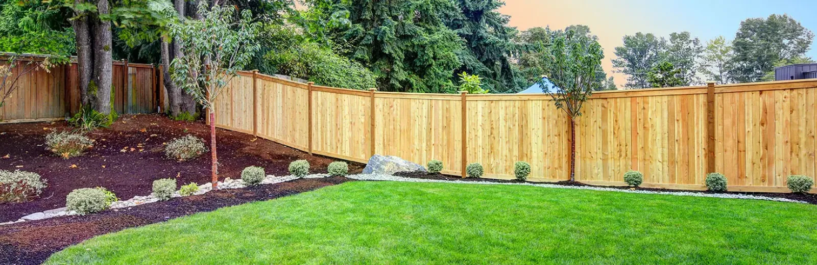 Back yard landscaping