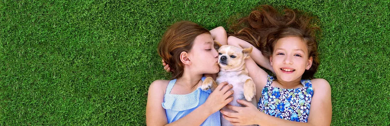 Sisters playing with dog