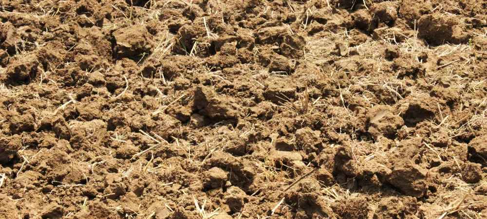 clay soil