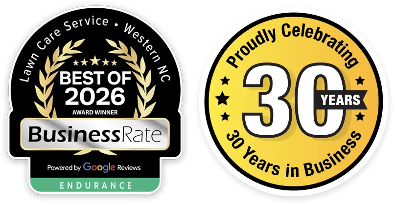 intro-badges