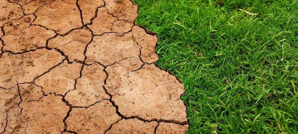 Dry clay soil directly next to green healthy grass