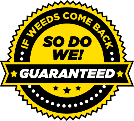 Our Guarantee